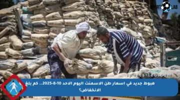 هبوط جديد في أسعار طن الأسمنت اليوم الأحد 10-8-2025.. كم بلغ الانخفاض؟